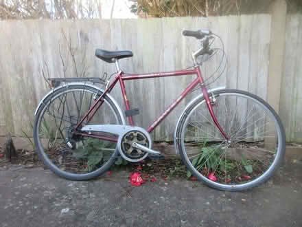 Photo of free bicycle (Seaford BN25) #1