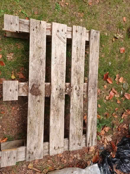 Photo of free Pallets (Felden HP3) #1