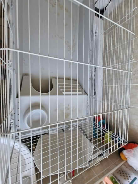 Photo of free Small animal cage (Haggerston N1) #2