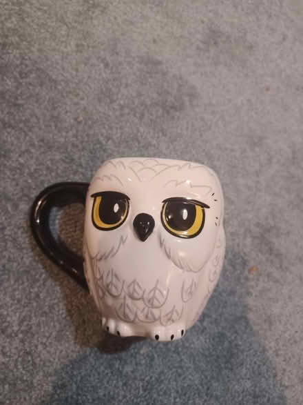 Photo of free Owl mug (Colchester CO4 6) #1