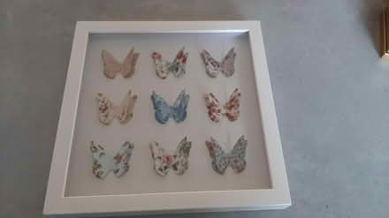 Photo of free luvly butterflies picture (peacehaven BN10) #3