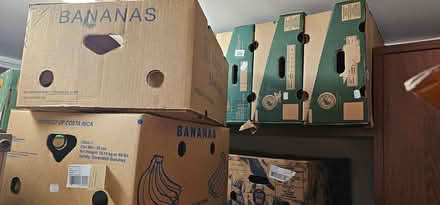 Photo of free Moving boxes (G78) #2