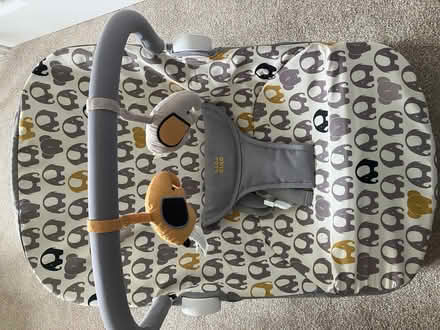 Photo of free Baby bouncer (Abingdon-on-Thames OX14) #3