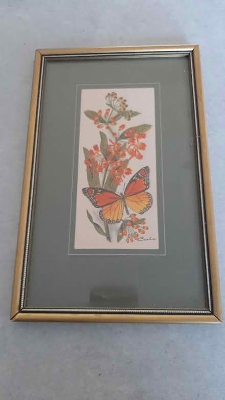 Photo of free butterfly picture (peacehaven BN10) #1