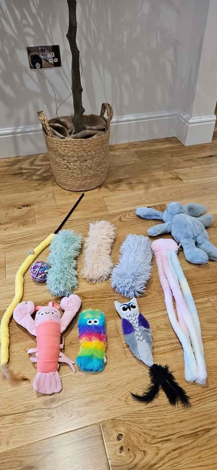 Photo of free Cat litter trays & toys (South Benfleet SS7) #3