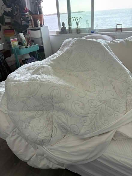 Photo of free Queen Mattress Protector (Alameda) #1