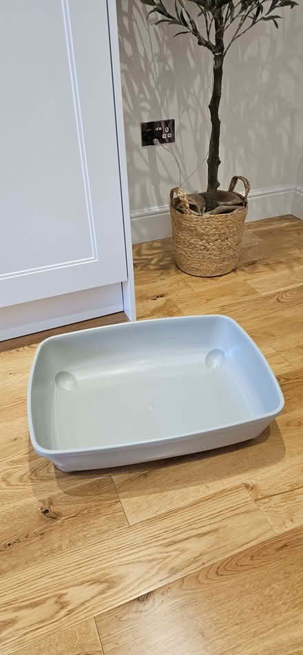 Photo of free Cat litter trays & toys (South Benfleet SS7) #2