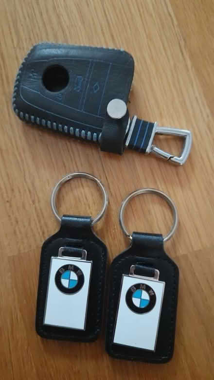 Photo of free BMW keyrings (Byfleet KT14) #1