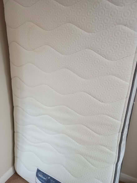 Photo of free Single truckle bed with mattress (Lower Earley RG6) #3