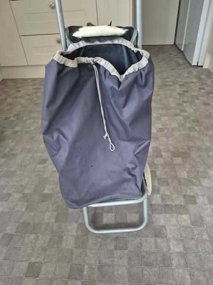 Photo of free Shopping Trolley (Blacklands TN34) #1