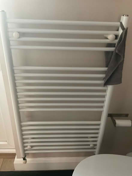 Photo of bathroom radiator towel rail (Burnham SL1) #1