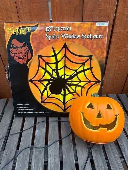 Photo of free Halloween Decorations (200th block off 13Th St SE) #1