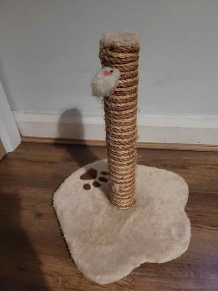 Photo of free Cat scratching post (for kittens) (Diglis WR5) #1