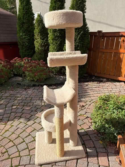 Photo of free Cat Tree / Cat Tower — 64” Tall (Westboro) #2