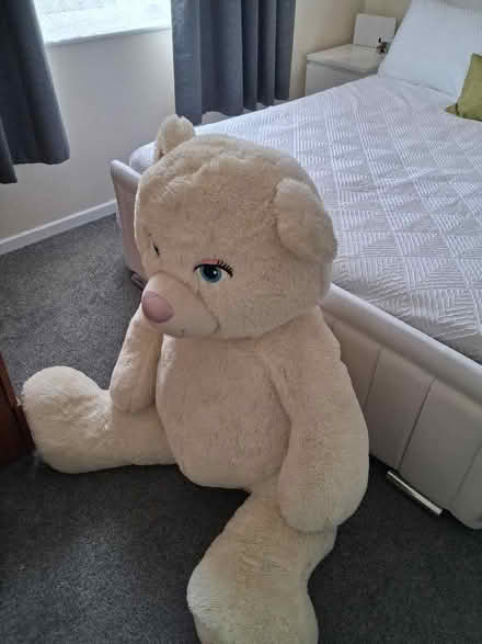 Photo of free Glass tv stand, curtains and xxxxl teddy bear (Braintree CM7) #1