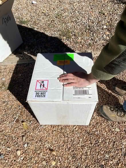 Photo of free 3 coolers/packaging (Lower Cañoncito) #4