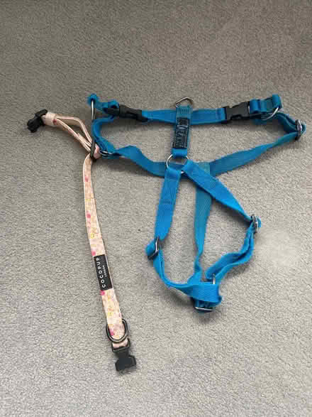 Photo of free Collar and harness (OX14) #1