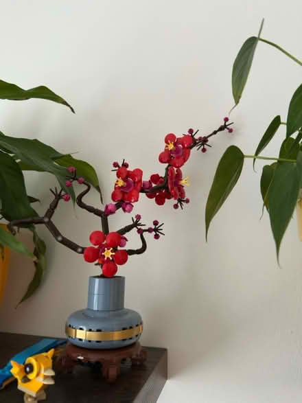 Photo of free Lego plants (N7 6RP) #2