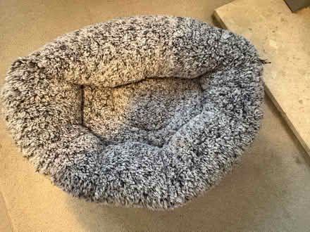 Photo of free Cat bed - unused (Central Reading RG1) #2