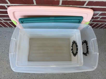 Photo of free Winter Shelters for Feral Cats (Girard Estates South Phila) #2
