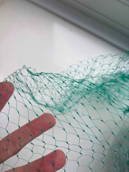 Photo of free Green plastic netting (Oxenholme LA9) #2