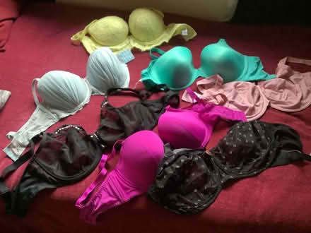 Photo of free Bras various sizes (Montrose DD10) #1
