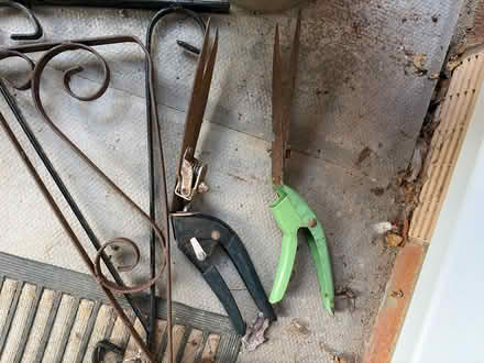 Photo of free Garden stuff including 3 litre pots (Cheltenham GL52) #4