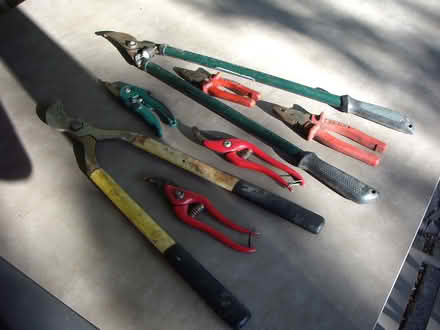 Photo of free Garden Tools (Whitley SN12) #1