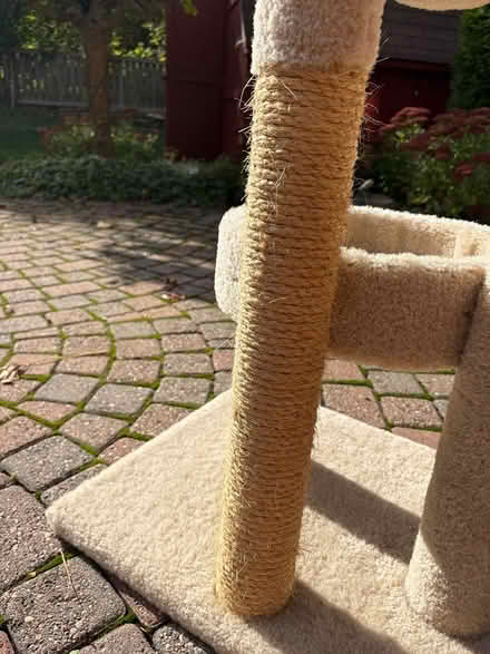 Photo of free Cat Tree / Cat Tower — 64” Tall (Westboro) #3