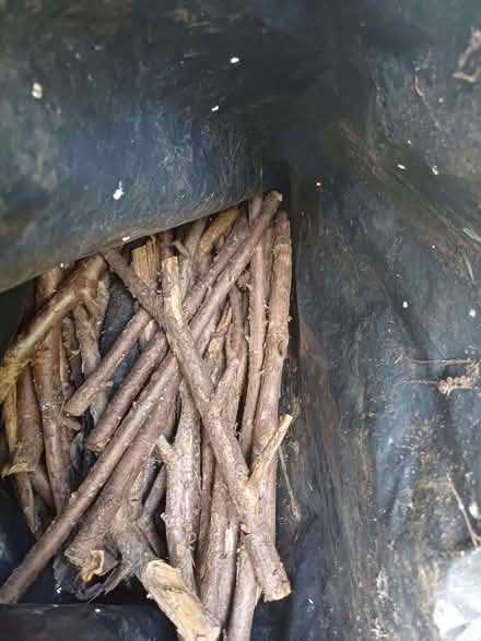 Photo of free Kindling (Felden HP3) #1