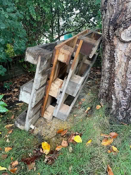 Photo of free Pallets x3 sturdy & strong (NW Chichester PO19) #1