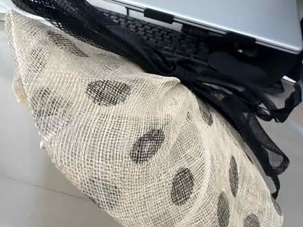 Photo of free Fascinator (Shirley B90) #2