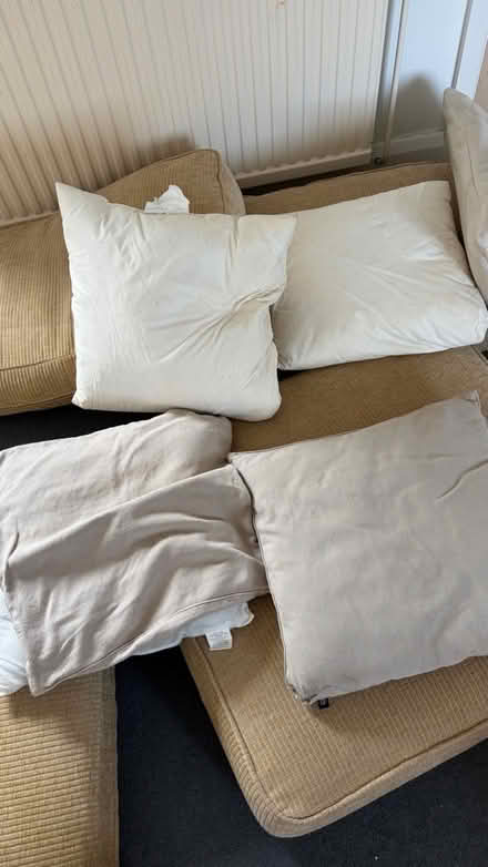 Photo of free cushions and pillows (North Finchley N12) #1
