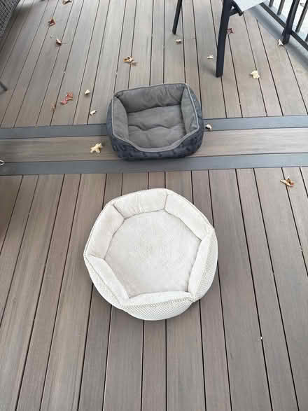 Photo of free Dog beds (14 mile and Rochester) #1