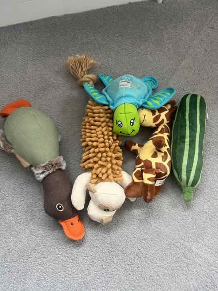Photo of free Dog toys #2 (OX14) #1