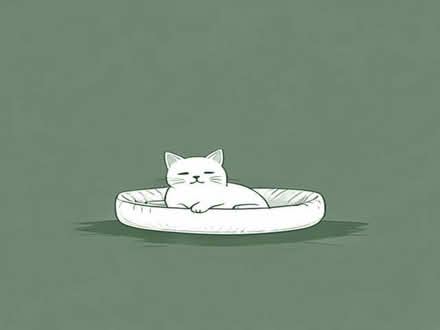 Photo of free Cat or Small Dog Bed (Richmond TW9) #1