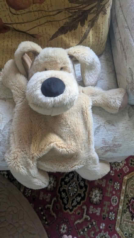 Photo of free Hot water bottle Cover (CM15 Shenfield) #1