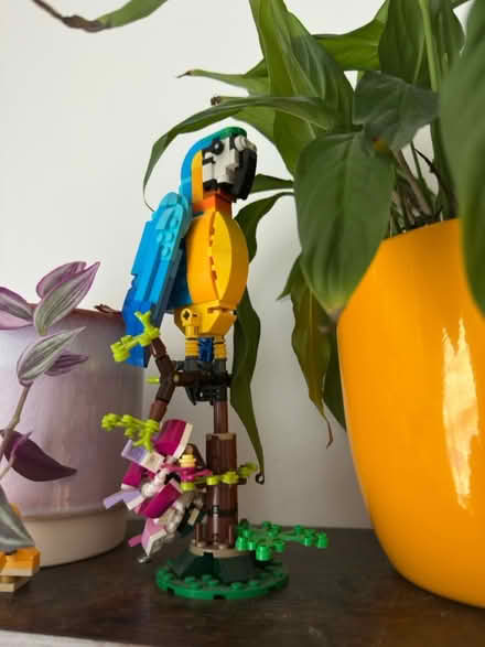 Photo of free Lego plants (N7 6RP) #1