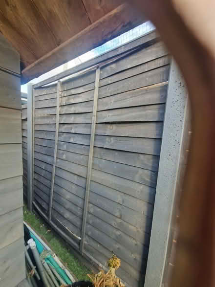 Photo of free X2 6ft by 6ft fence panels (Stevenage SG2) #2