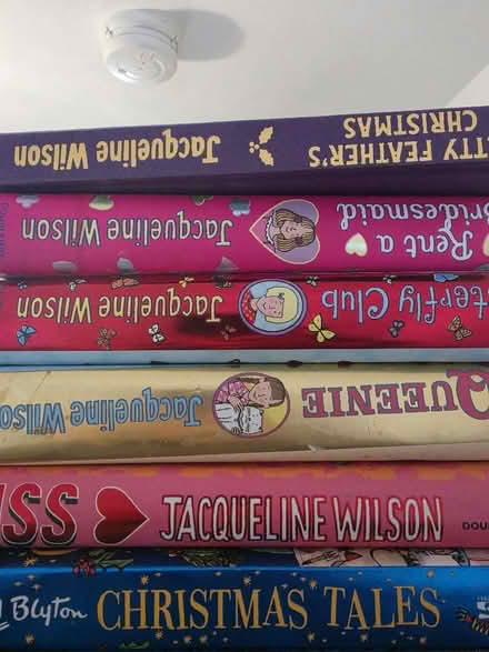 Photo of free Jacqueline Wilson books (Goffs Oak EN7) #1