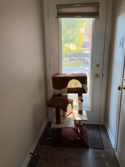 Photo of free Cat Tree 36” high (Chapel Hill) #1