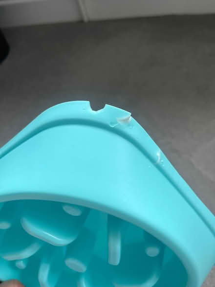 Photo of free Dog slow feeder bowl (OX14) #2