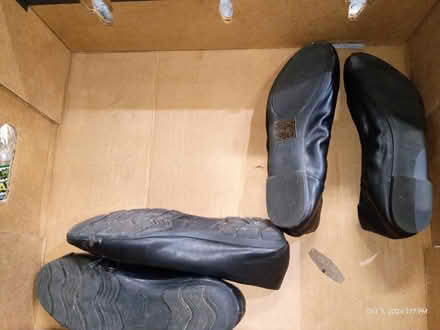 Photo of free Women's flat shoes (Westmont) #2