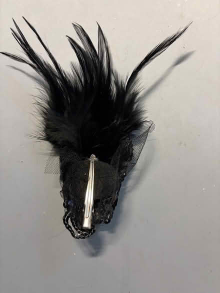 Photo of free Hair slide (Westbury BA13) #2
