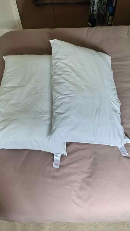 Photo of free Pair of polyester filled pillows (North Winchester) #1