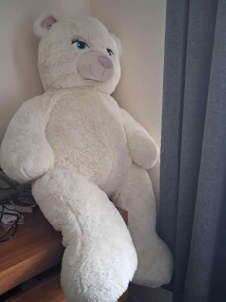 Photo of free Glass tv stand, curtains and xxxxl teddy bear (Braintree CM7) #4