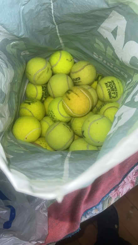Photo of free Used tennis balls (Earley RG6) #1