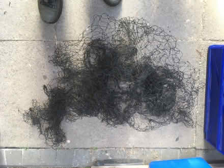 Photo of free Garden fleece and netting (Ibstock LE67) #1