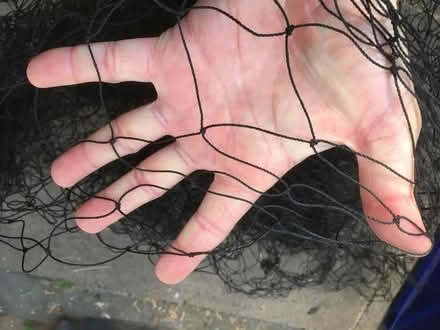 Photo of free Garden fleece and netting (Ibstock LE67) #2