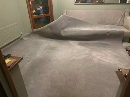 Photo of free Grey carpet and good quality underlay (New Greens AL3) #3